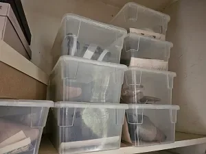 Basic phone photo of transparent storage boxes on a shelf